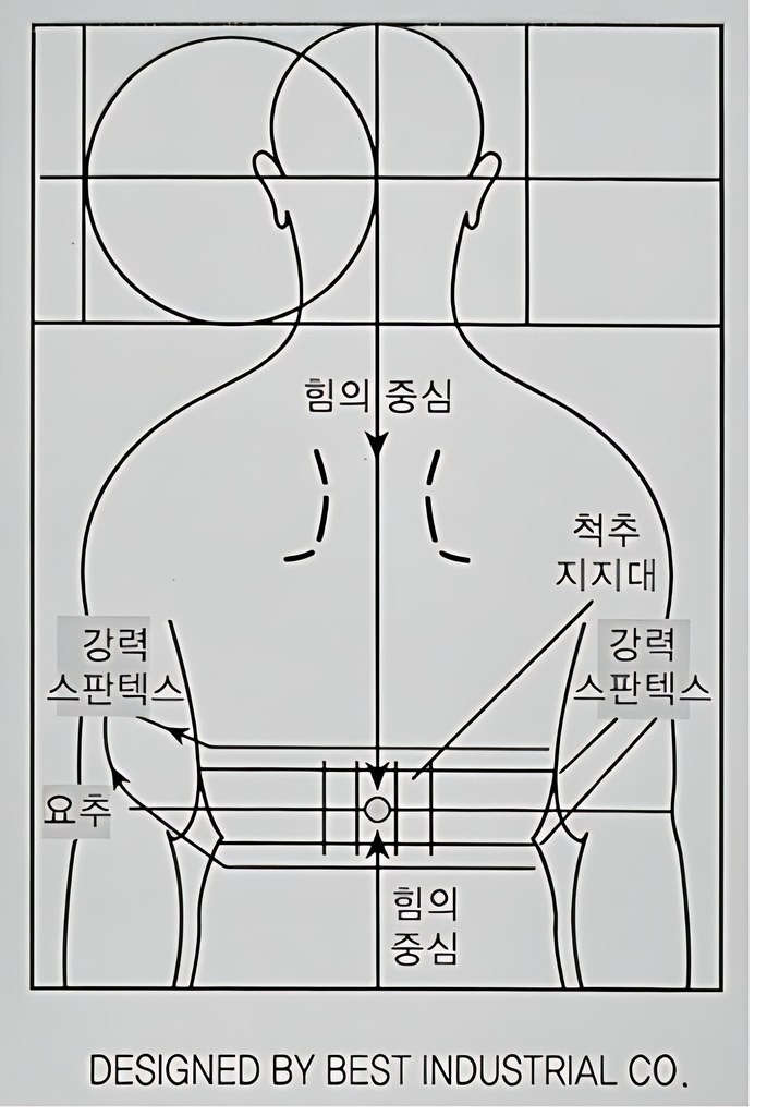 신통벨트의 설계도: 힘의 중심, 척추 지지대, 강력 스판텍스, 요추