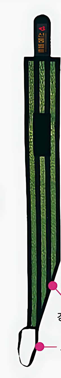 발목밴드 BT800
